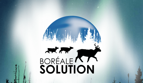 Boréale Solution (2jan14)